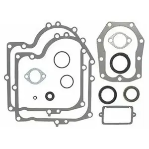 Joints moteur BRIGGS ET STRATTON 490525 - 494241 pas cher