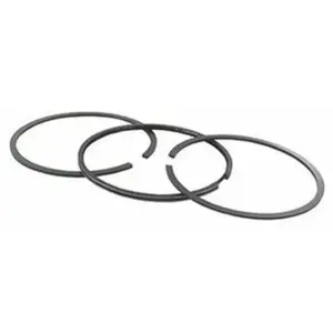 Jeu de segments BRIGGS ET STRATTON 499425 pas cher