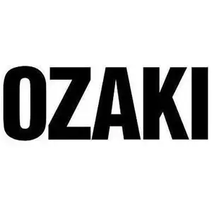 Chaîne de tronçonneuse OZAKI Pro carrée pas cher