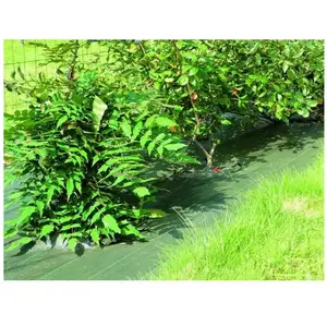 Comparateur de prix : VILMORIN Toile de paillage tissée pp - 20 m - Standard - Vert - 1,05 m x 10 m