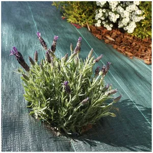 VILMORIN Toile de paillage tissée 90 g / m² 1.05m x 100m pas cher