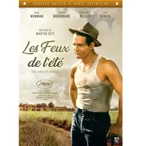 Bqhl Les Feux de l'été DVD pas cher
