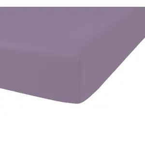 TODAY Drap Housse 180X200 2 personnes Percale uni violet PREMIUM TODAY pas cher
