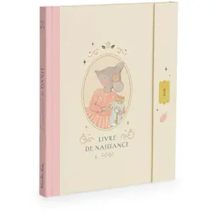 Moulin Roty Livre de naissance La petite école de danse pas cher