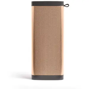 Clip Sonic LIVOO Technology TES194D Haut-parleur Bluetooth Doré/Gris pas cher