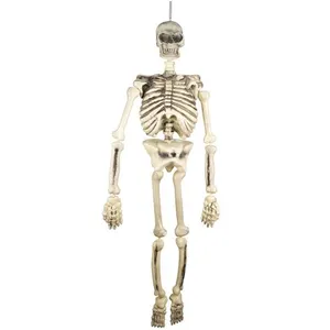 Comparateur de prix : PTIT CLOWN Décoration Halloween avec grand squelette à suspendre de 150 cm (x1) REF/60067