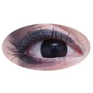 Lentilles Journalières Fantaisie Adulte
