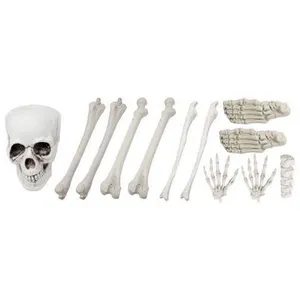 Sac d'os - Halloween - Décoration - Squelette en plastique - 12 pièces pas cher