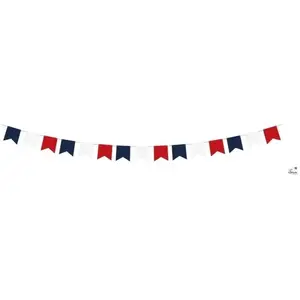 P'TIT Clown re23309 - Guirlande drapeaux fanions France bleu, blanc, r...