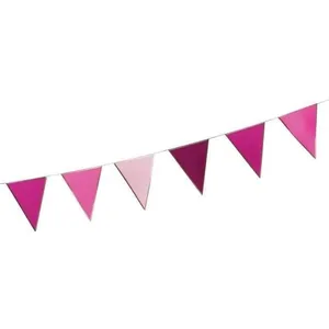 PTIT Clown re22634 - Guirlande Fanions brillante rose