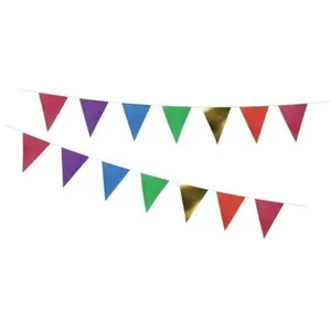P'TIT Clown re22648 - Guirlande Fanions brillante multicolore