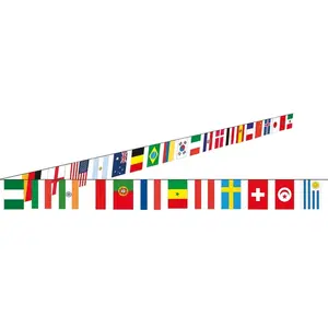 Guirlande de drapeaux - Non spécifié - 10m - Papier - Blanc - Mixte pas cher
