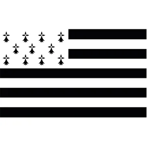 Drapeau Bretagne en tissu pas cher
