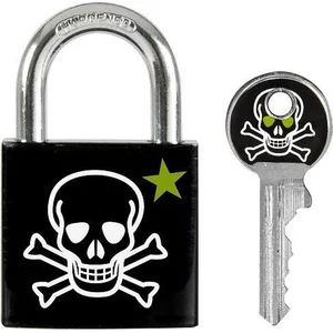 Master Lock Cadenas MASTER LOCK 30mm Acier Imprimé Tete de Mort pas cher