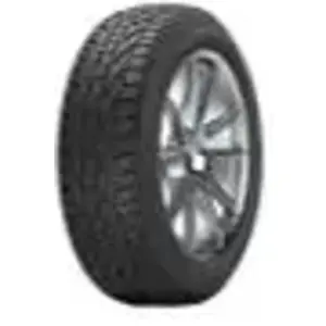Riken Mich Riken Europe SNOW 225/55R16 95H pas cher