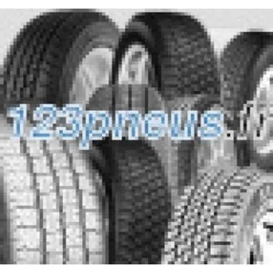 BF Goodrich Advantage All-Season 245/45 R18 100W pas cher