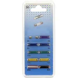 10 fusibles à lamelle stéatite et verre 2- 40 a