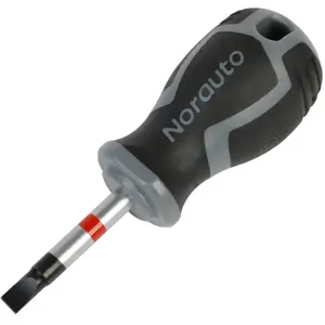 Tournevis plat court 5,5 norauto pas cher