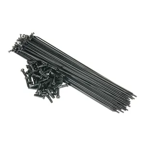 Rayons Mach1 Black (Boite X 72) 184 Mm pas cher