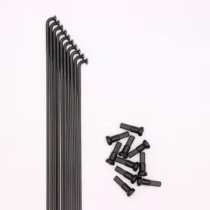 Stralen Pride Racing Hexagon Double Butted (x10) pas cher