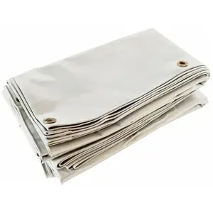 TECPLAST Bâche Brise Vue Blanc Crème 2x3 m LP506BV - Garantie 5 ans - Brise ven... pas cher