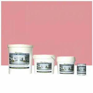 Peinture laque Epoxy Sol et Mur - 1 Kg Rose Matpro pas cher