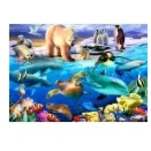 Bluebird Puzzle Oceans of Life Puzzle-F-90235 pas cher