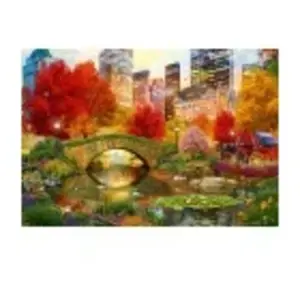 Bluebird Puzzle Central Park NYC Puzzle-F-90870 pas cher
