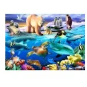 Bluebird Puzzle Oceans of Life Puzzle-F-90077 pas cher