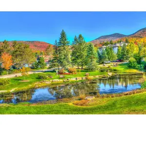 Bluebird Puzzle Stowe, Vermont, USA Puzzle-F-90133 pas cher