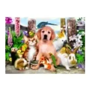 Bluebird Puzzle Good Companions Puzzle-F-90127 pas cher