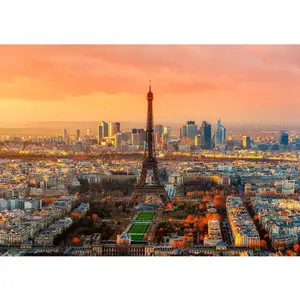 Bluebird Puzzle Eiffel Tower, Paris, France Puzzle-F-90141 pas cher