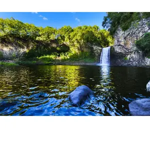 Bluebird Puzzle Bassin de la Paix, La Réunion, France Puzzle-F-90479 pas cher