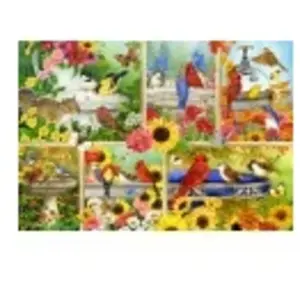 Bluebird Puzzle Plumes et Compagnie Puzzle-F-91040 pas cher