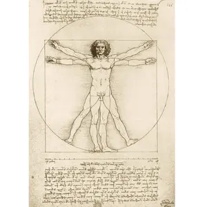 Bluebird Puzzle Leonardo Da Vinci - The Vitruvian Man, 1490 by-Bluebir...