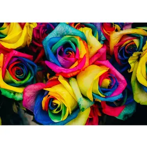 Grafika Roses Multicolores F-33359 pas cher