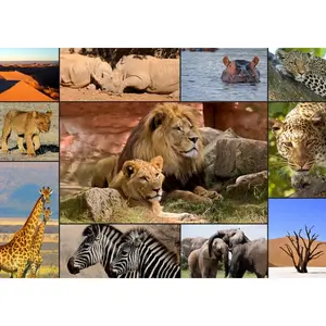 Grafika Collage - Wildlife F-30026 pas cher
