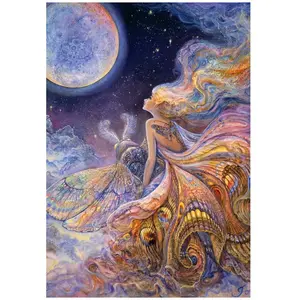 Grafika Fly Me to the Moon F-32387Vendu parbol