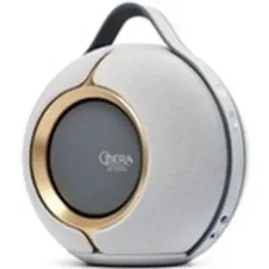 Enceinte sans fil portable Bluetooth Devialet Mania Opera de Paris Or ...