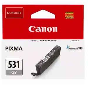 Cartouche d'encre Canon Pixma Chroma Life 100 TS8750 S/BL Gris pas cher