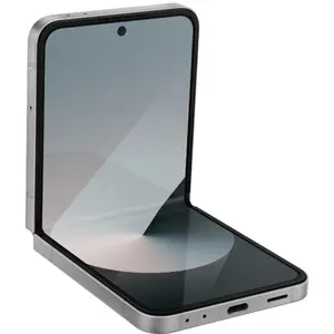 Samsung Galaxy Z Flip6 (dual sim) 256 Go gris reconditionné pas cher