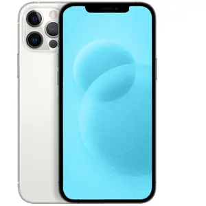 Apple iPhone 12 Pro Max 128 Go argent reconditionné pas cher