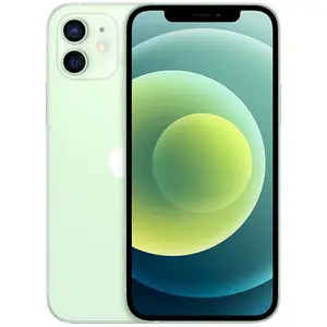 Apple iPhone 12 64 Go vert reconditionné pas cher