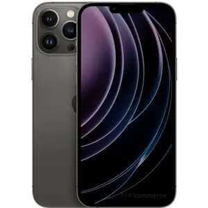 Apple iPhone 13 Pro Max 256 Go graphite reconditionné pas cher
