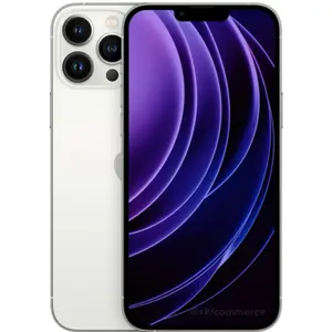 Apple iPhone 13 Pro 256 Go argent reconditionné pas cher
