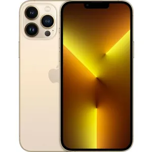 Apple iPhone 13 Pro Max 256 Go or reconditionné pas cher