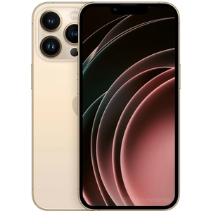 Apple iPhone 13 Pro 256 Go or reconditionné pas cher