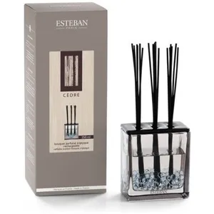 Bouquet parfumé triptyque rechargeable Cèdre 250ml - Esteban pas cher