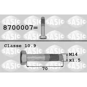 SASIC Boulon de poulie pour PEUGEOT: 106, 207, 307, Partner, 3008, 500... pas cher