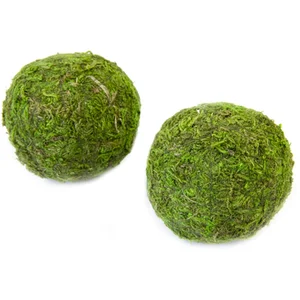 HOBI - 2 groene natuurlijke mosballen 7 cm tafeldecoratie pas cher